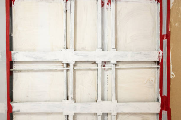 Best Biohazard Mold Removal  in Durham, NC