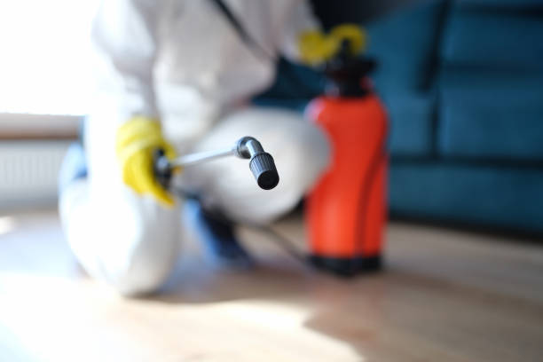 Durham, NC Mold Removal Company
