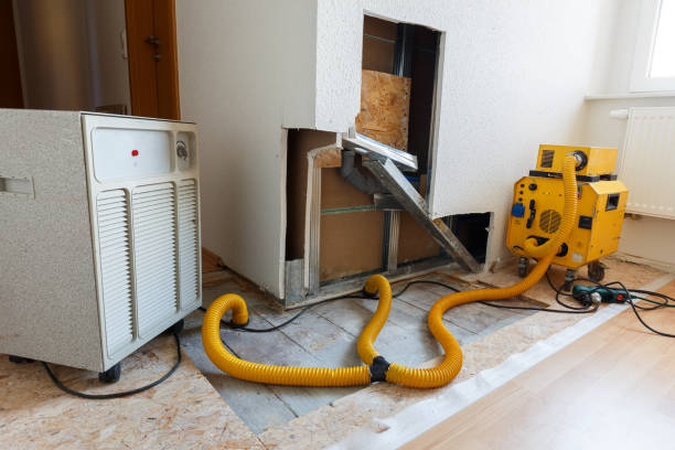 Best Post-Remediation Verification Testing  in Durham, NC