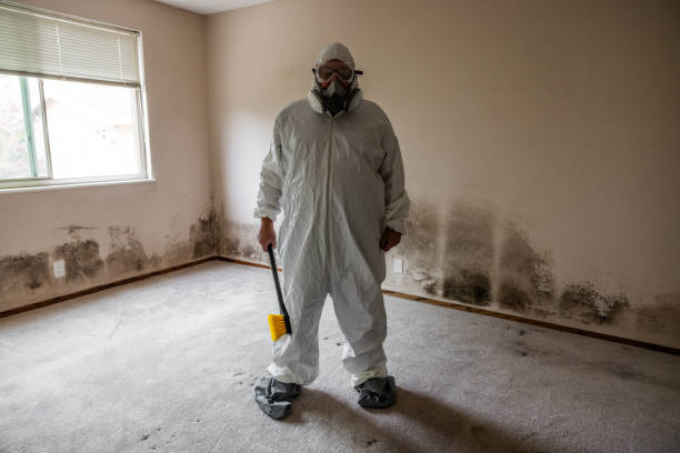 Best Mold Odor Removal Services  in Durham, NC