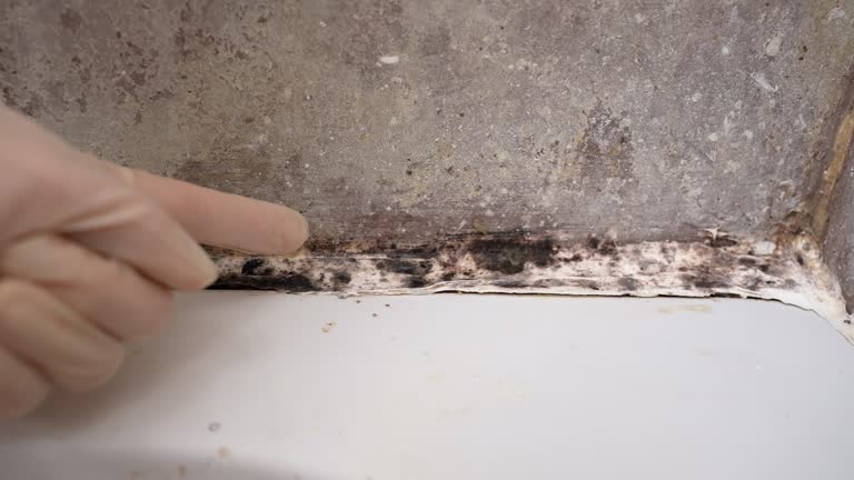 Best Post-Construction Mold Inspection  in Durham, NC